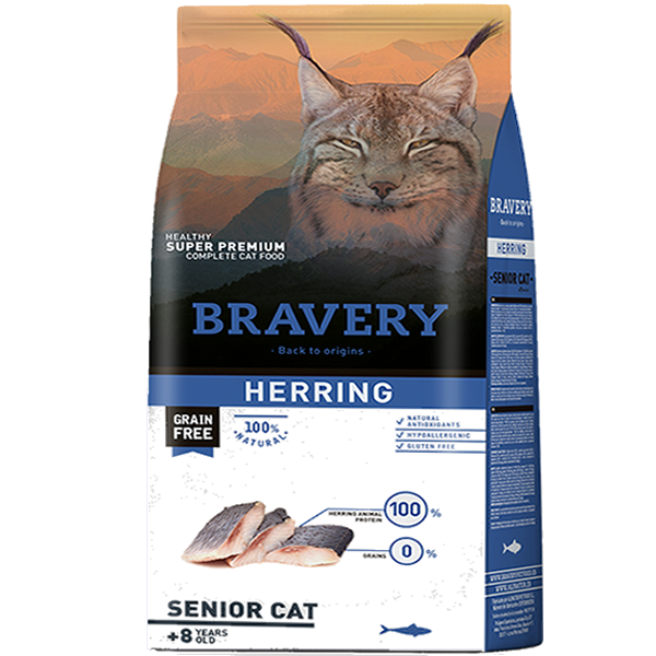 Bravery Senior Cat Herring