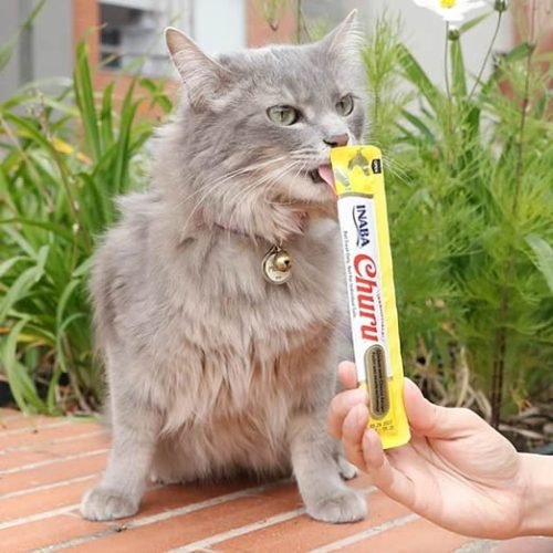 Snack para Gatos